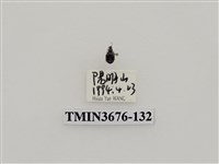 藏品(步行蟲(2))的圖片